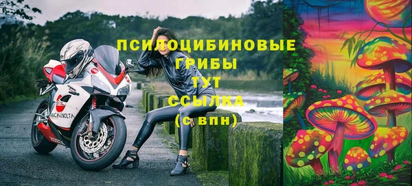 сатива Нея