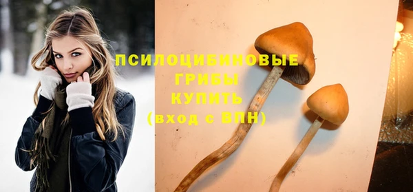 гидра Надым