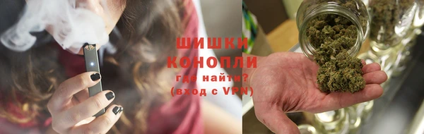 гидра Надым