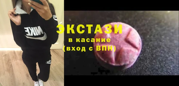 гидра Надым