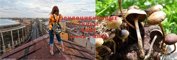 твердый Наволоки