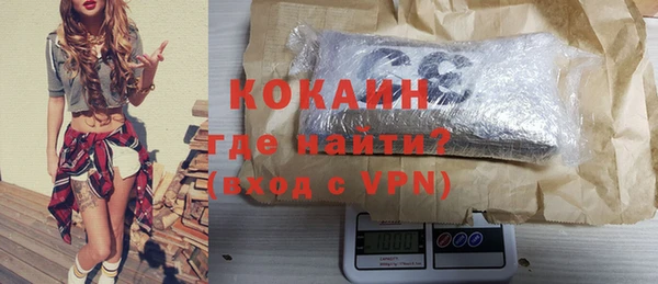 гидра Надым