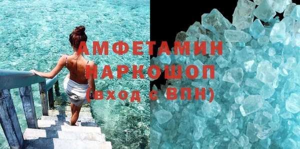 гидра Надым
