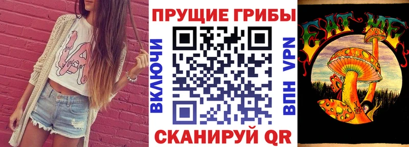 Галлюциногенные грибы GOLDEN TEACHER  Купить закладки  Зубцов 