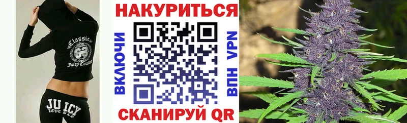 Купить  Зубцов  Бошки Шишки план 